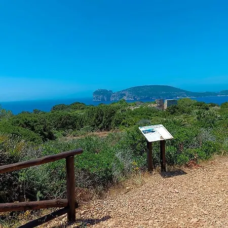 White Αλγκέρο