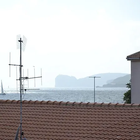 White 2* Αλγκέρο